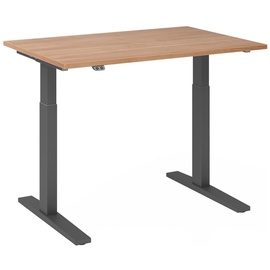 Hammerbacher XMKA12 elektrisch höhenverstellbarer Schreibtisch nussbaum rechteckig, C-Fuß-Gestell grau 120,0 x 80,0 cm