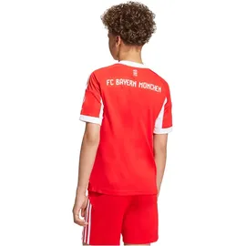 adidas FC Bayern München Heimtrikot 2025/26 Kinder rot Gr. 128