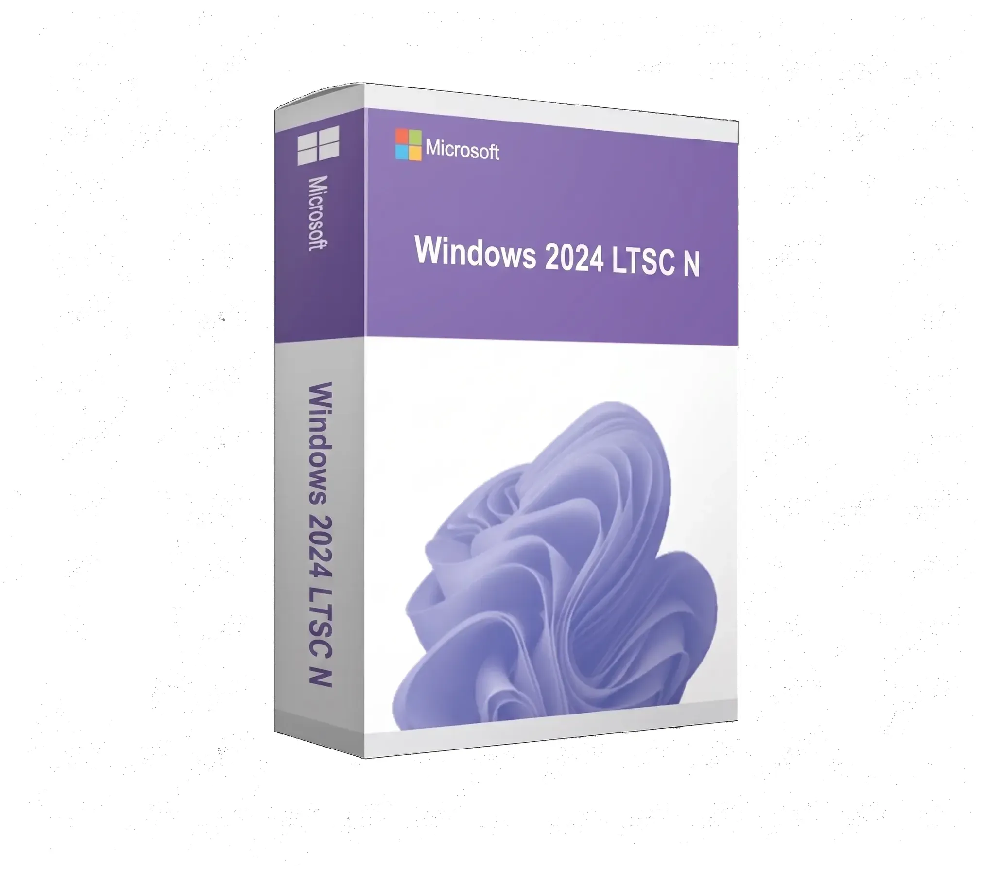 Windows 2024 LTSC Enterprise N