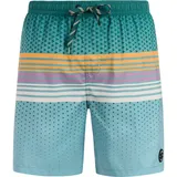 Protest Badeshorts Latika Dark Teal S