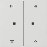 Gira Flächenschalter 5384112