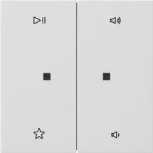 Gira Flächenschalter 5384112
