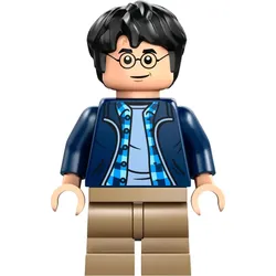 LEGO® - Harry Potter - hp544 - Harry Potter (76446)