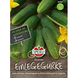 Sperli Gemüsesamen, Einlegegurken Excelsior