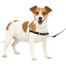 PetSafe Easy Walk S,