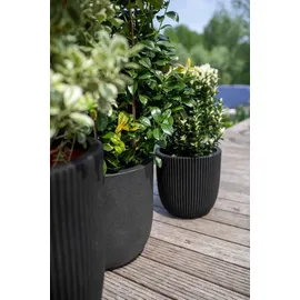 Capi Europe Blumentopf Tutch Ø 35 x 34 cm schwarz