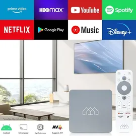 Homatics Box HD Android TV Mediaplayer Grau (Full HD, 5GHz WiFi, Bluetooth, Sprachfernbedienung)