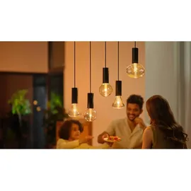 Philips Hue Lightguide E27 6,8 W 500 lm warmweiß 1 St.