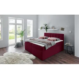 PLACES OF STYLE Boxbett PLACES OF STYLE, rot (bordeaux meliert), B:182cm L:210cm, Komplettbetten