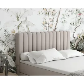 panda möbel Boxspringbett 140 x 200 cm Dunkelbeige