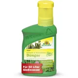 NEUDORFF Azet Kakteen- & SukkulentenDünger - 100% natürlicher Bio Dünger für kräftig grüne Kakteen mit beeindruckenden Blüten, 250 ml