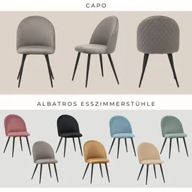 Albatros Esszimmerstuhl CAPO Samt grau 4er Set