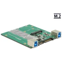 DeLock 62732 / USB 3.1 Typ-B Buchse > M.2 mSATA
