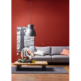 Schöner Wohnen Trendfarbe 2,5 l amarena matt