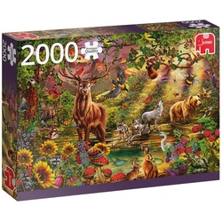 Puzzle 18868 Magischer Wald bei Sonnenuntergang, 2000 Puzzleteile bunt
