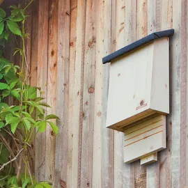 NEUDORFF Fledermausquartier natur