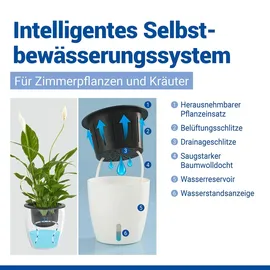 Maximex Selbstbewässernde Pflanztöpfe Ø 13 x 13,5 cm Weiß
