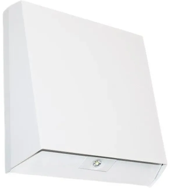 H1 Solutions Sicherheitsleuchte Postman CBS-T SH