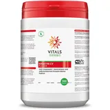 Vitals Kreatin-CV Pulver 300 g