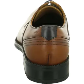 LLOYD Gala | Braun - 46,5