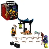 LEGO Ninjago Battle Set: Cole vs. Geisterkämpfer 71733