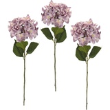 I.GE.A. Kunstblume Hortensie, I.GE.A., Höhe 73 cm, 3er Set rosa
