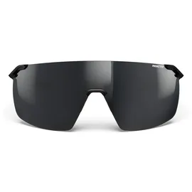Julbo Faster L Reactiv 0-3 - Fahrradbrille Schwarz/Grau