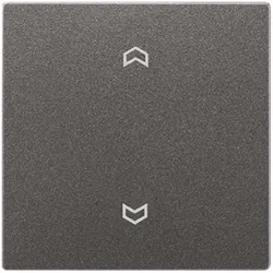 Jung Wippe Symbole anth AL 2990 P AN AL2990PAN