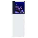 Red Sea Europe Red Sea Desktop Cube Kombi Aquarium mit Unterschrank weiß