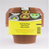 andermatt SchneckenStopp PP Pack mit 12 Stück braun