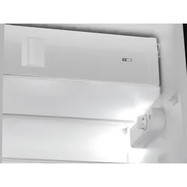 Bauknecht BKSI 9GS2 Kühl-Gefrierkombination Kühlschrank 866 mm 110L Schlepptür - inkl.
