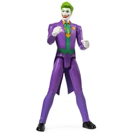 Spin Master DC Actionfigur sortiert