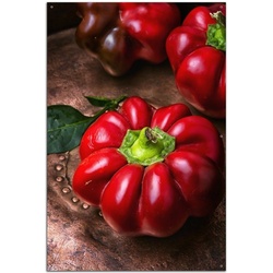 Wallario Sichtschutzzaunmatten Rote Paprika in der Küche rot 61 cm x 91.5 cm