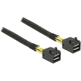 DeLock Internes SAS-Kabel