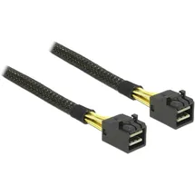 DeLock Internes SAS-Kabel