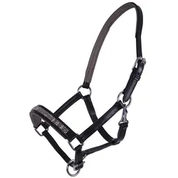 QHP Lupine Lederhalfter Fohlen
