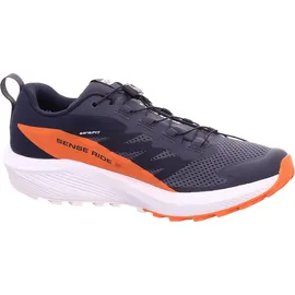 Salomon Sense Ride 5 GTX für Herren Trailrunningschuhe, grau, 47 EU -