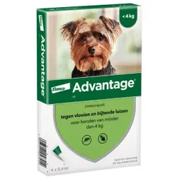 Advantage Nr. 40 Flohmittel (bis 4 kg) Hund 1 Packung