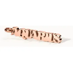 PURELEI Aquarius Letter Charm