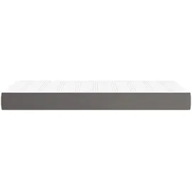 vidaXL Taschenfederkernmatratze Grau 100x200x20 cm Kunstleder