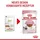 Royal Canin Kitten Instinctive in Soße 12 x 85 g