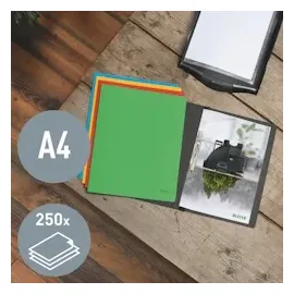 Leitz Schnellhefter Recycle 3904 Karton grün