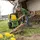 Rolly Toys rollyPowerwinch, Elektrische Winde, 3 Jahr(e), Grün, Gelb