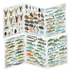 Fischfaltblatt Süsswasser Fischbestimmungskarte