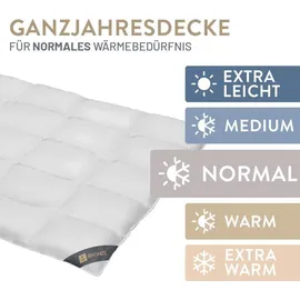 SPESSARTTRAUM Daunendecke Bronze normal, Daunen 10% Federn 155x200 cm