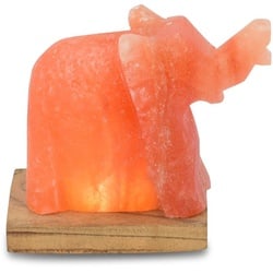 HIMALAYA SALT DREAMS Salzkristall-Tischlampe Elefant, LED wechselbar, Warmweiß, Handgefertigt aus Salzkristall – jeder Stein ein Unikat, H: ca.11 cm orange