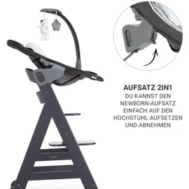 hauck Beta Plus Dark Grey 5-tlg. Newborn Set Deluxe (Treppenhochstuhl)