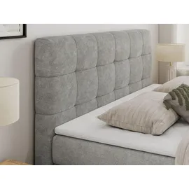 MKS Meble Boxspringbett mit Bettkasten ¦ grau ¦ Maße (cm): B: 140 H: 110