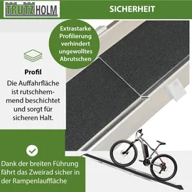 Trutzholm Auffahrrampe 50 kg