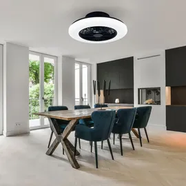 RL Deckenventilator 50 cm Deckenventilator Schwarz